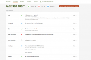 SEO page audit/diagnosis within SEOQuake 