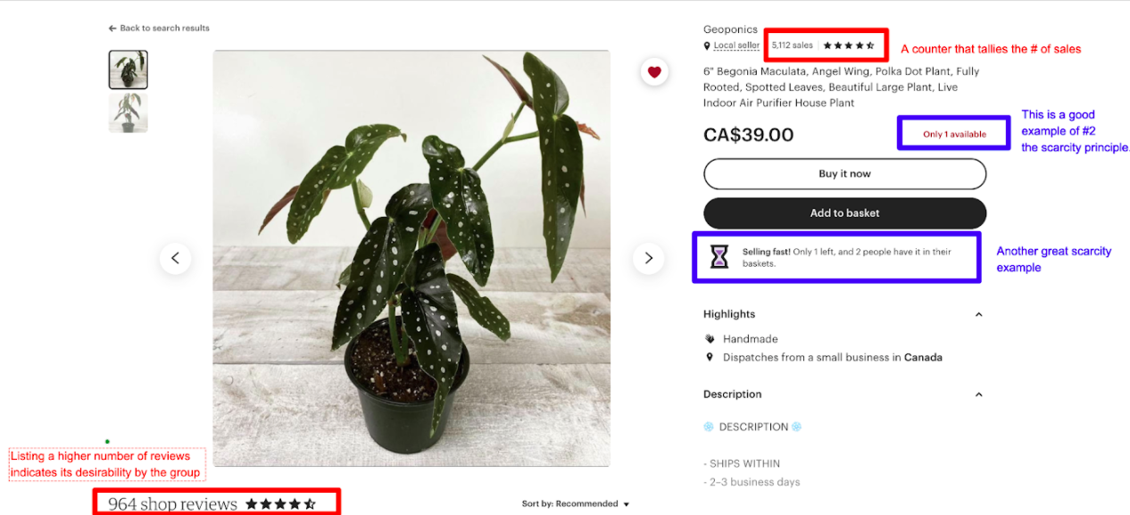 Screenshot of Etsy’s product description page that includes reviews and the amount of past purchases