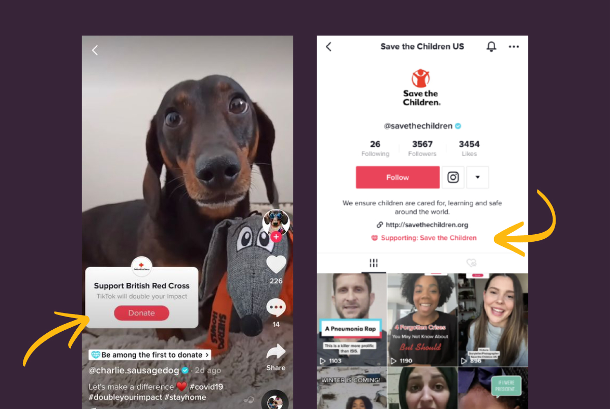 TikTok fundraising